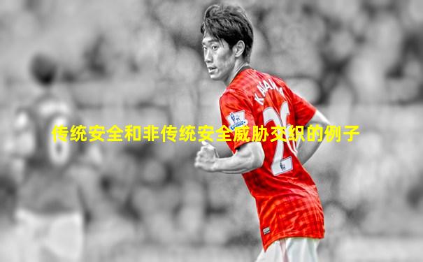 传统安全和非传统安全威胁交织的例子