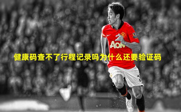 健康码查不了行程记录吗为什么还要验证码