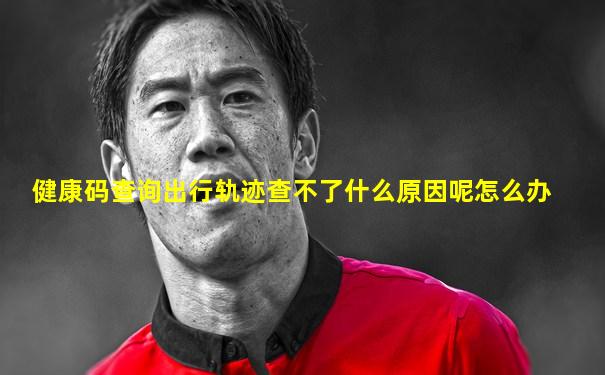 健康码查询出行轨迹查不了什么原因呢怎么办