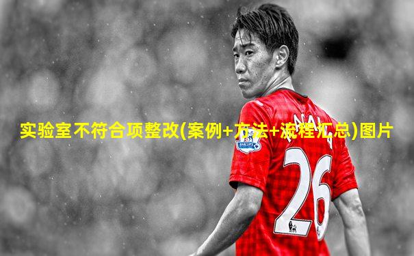 实验室不符合项整改(案例+方法+流程汇总)图片