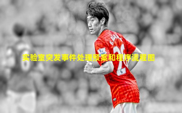 实验室突发事件处理预案和程序流程图