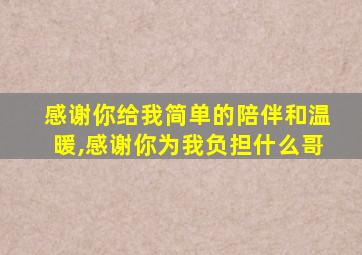 感谢你给我简单的陪伴和温暖,感谢你为我负担什么哥