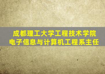 成都理工大学工程技术学院电子信息与计算机工程系主任