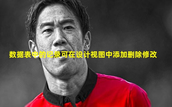 数据表中的记录可在设计视图中添加删除修改