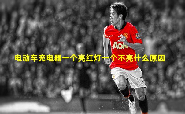 电动车充电器一个亮红灯一个不亮什么原因