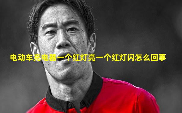 电动车充电器一个红灯亮一个红灯闪怎么回事