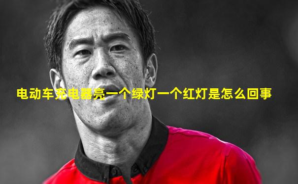 电动车充电器亮一个绿灯一个红灯是怎么回事