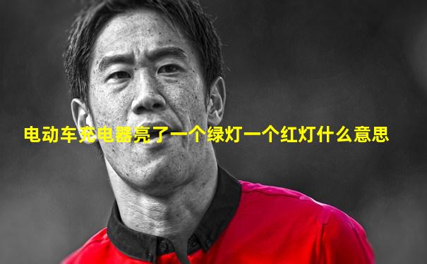 电动车充电器亮了一个绿灯一个红灯什么意思