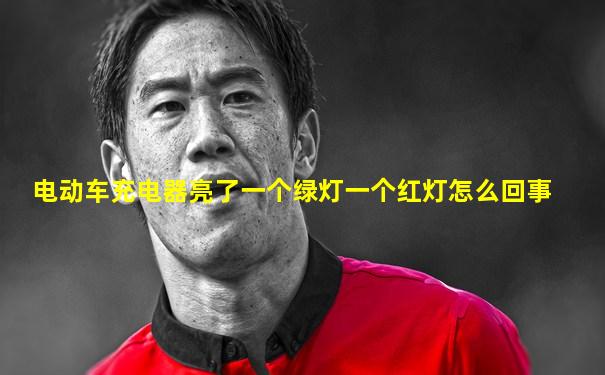 电动车充电器亮了一个绿灯一个红灯怎么回事