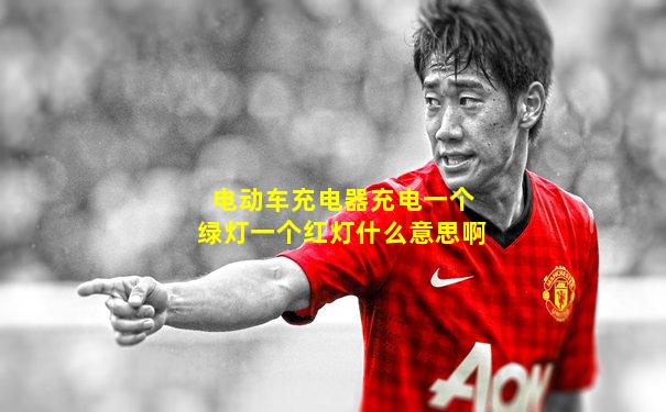 电动车充电器充电一个绿灯一个红灯什么意思啊