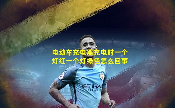 电动车充电器充电时一个灯红一个灯绿色怎么回事
