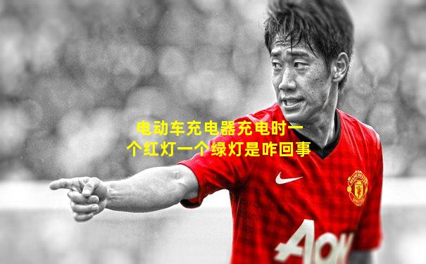 电动车充电器充电时一个红灯一个绿灯是咋回事