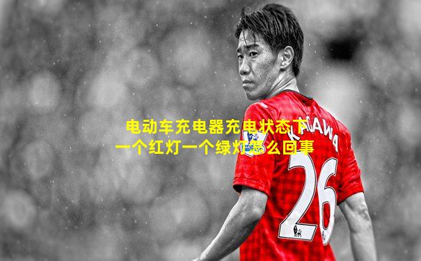 电动车充电器充电状态下一个红灯一个绿灯怎么回事