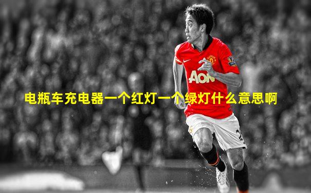电瓶车充电器一个红灯一个绿灯什么意思啊