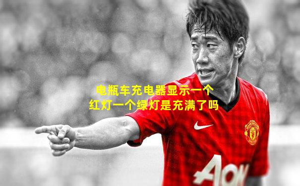 电瓶车充电器显示一个红灯一个绿灯是充满了吗