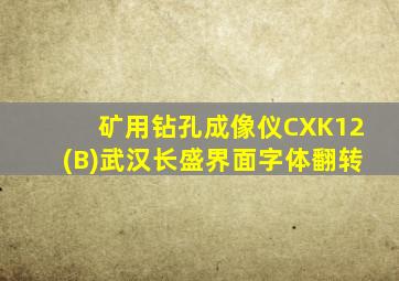 矿用钻孔成像仪CXK12(B)武汉长盛界面字体翻转