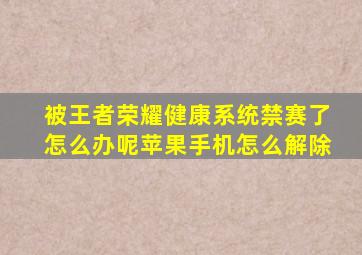 被王者荣耀健康系统禁赛了怎么办呢苹果手机怎么解除