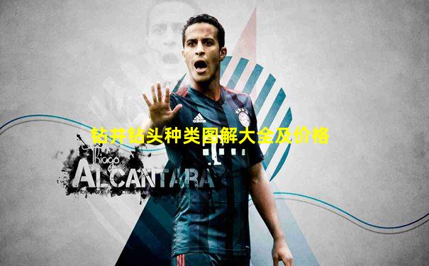 钻井钻头种类图解大全及价格