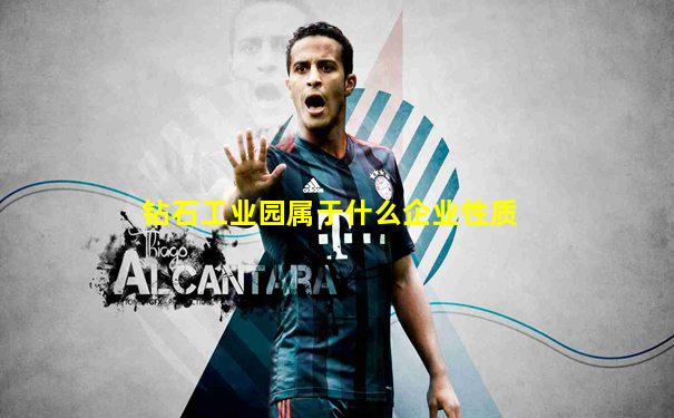 钻石工业园属于什么企业性质