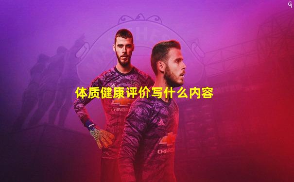体质健康评价写什么内容