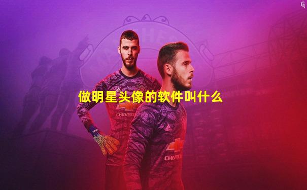 做明星头像的软件叫什么