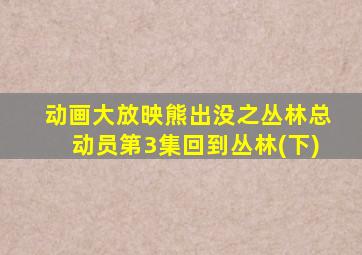 动画大放映熊出没之丛林总动员第3集回到丛林(下)