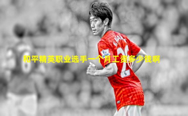和平精英职业选手一个月工资多少钱啊