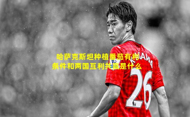 哈萨克斯坦种植番茄有利条件和两国互利共赢是什么