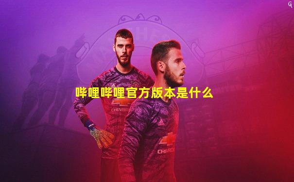 哔哩哔哩官方版本是什么