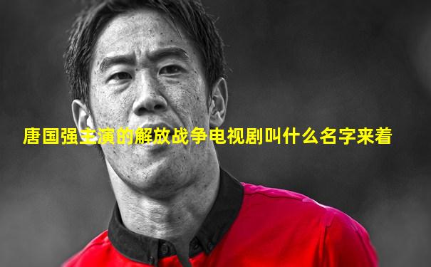 唐国强主演的解放战争电视剧叫什么名字来着