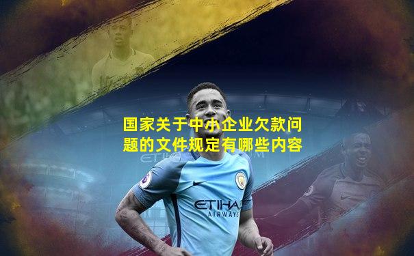 国家关于中小企业欠款问题的文件规定有哪些内容