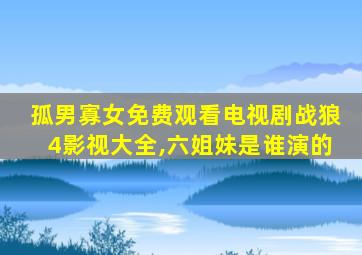 孤男寡女免费观看电视剧战狼4影视大全,六姐妹是谁演的