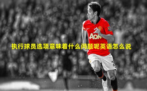 执行球员选项意味着什么问题呢英语怎么说