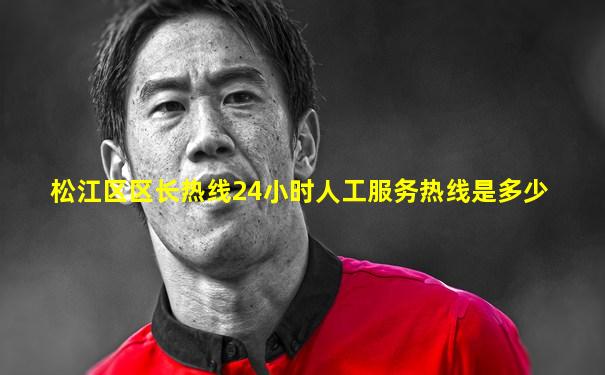 松江区区长热线24小时人工服务热线是多少