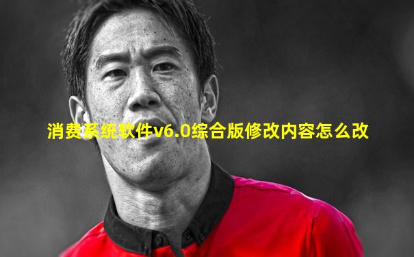 消费系统软件v6.0综合版修改内容怎么改